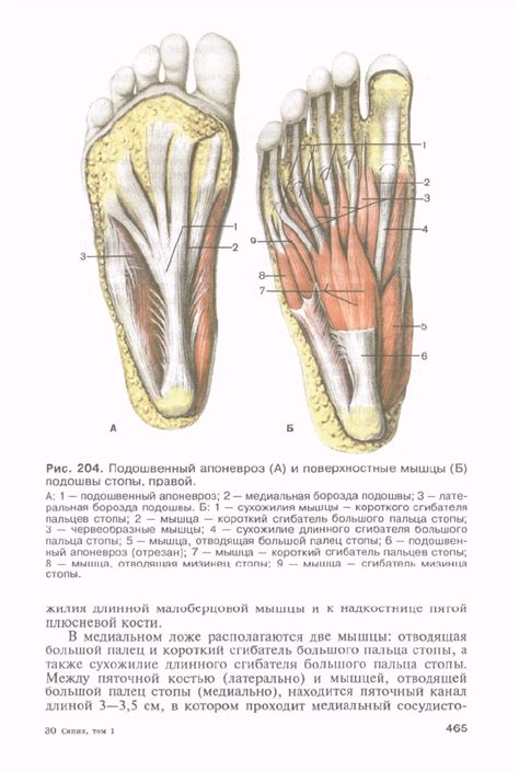 Сапин М.Р. и др. Анатомия человека Том 1