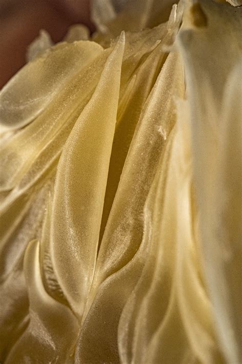 Flower of Life • Marisa Papen