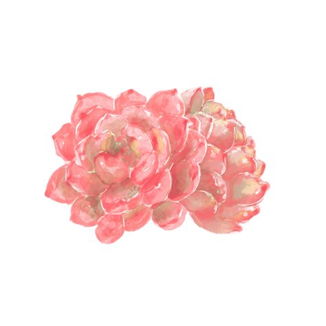 material png transparent  material european label title