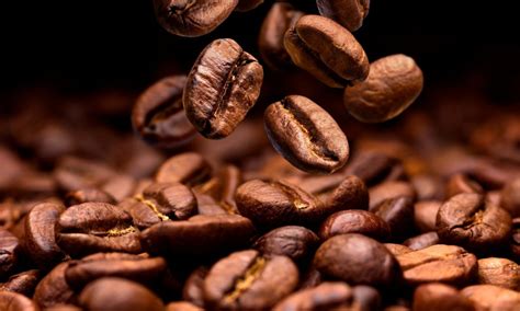 Reportan Incremento Sostenido En Los Precios Mundiales Del Café