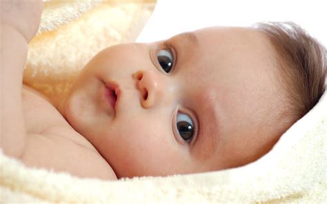 bebe