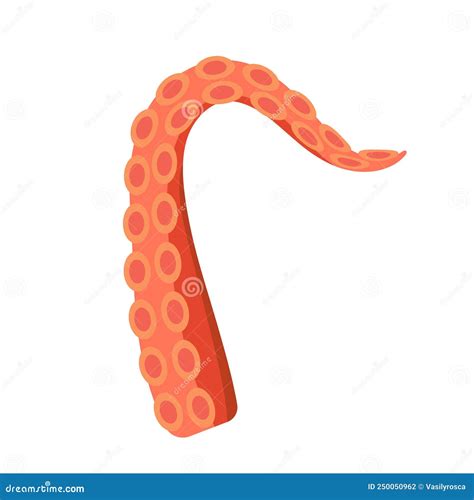 Octopus Tentacle Vector Giant Illustration Monster Sea Creature