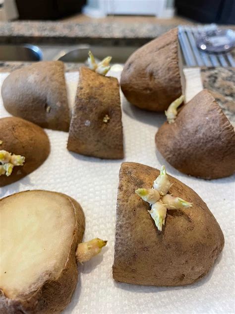 Are Sprouted Potatoes Healthy to Eat?
