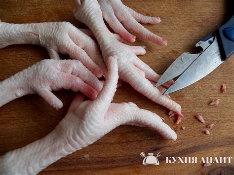 Лапа курицы с накрашенными ногтями (57 фото) - картинки modnica.club