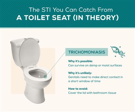 The Truth About STDs, STIs, and Toilet Seats | Everlywell