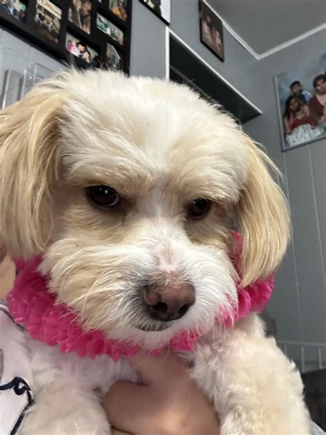 Sechrest-Davis: Trusted Funeral and Cremation Services 23