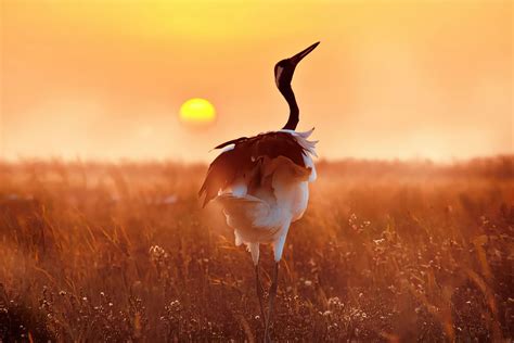 Spectacular Winning Photos From The Nature Photography Contest 2023 ...