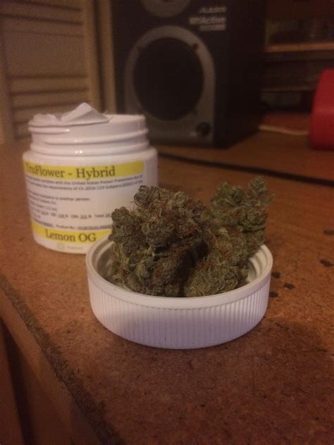 Trulieve Lemon OG : r/FLMedicalTrees