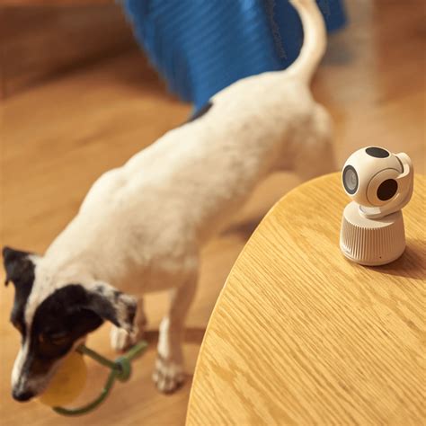 siipet pawtrack camera  ultimate pet monitoring solution