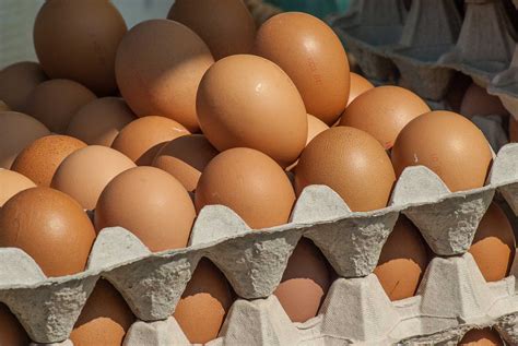 Pick Up More Ingredients! ― Perchance Generator