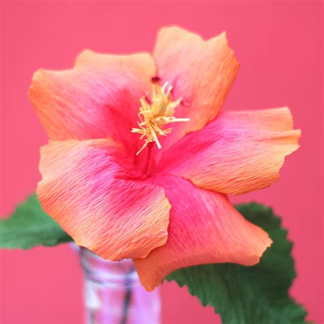 paint hibiscus flower 8