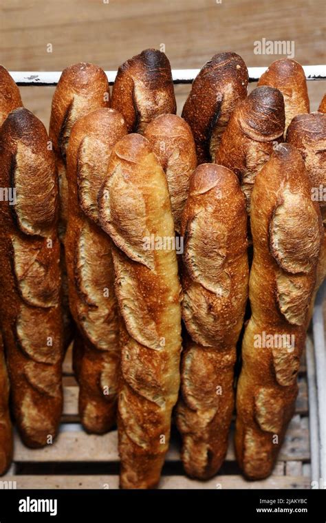 Real French tradition Baguette - Paris - France Stock Photo - Alamy