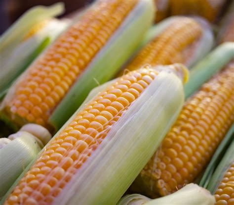 This Simple Hack Can Help You Remove Corn From the Cob in No Time