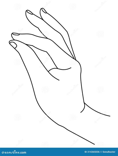 Elegant Hand with Thumb and Index Finger Clasping Stock Vector