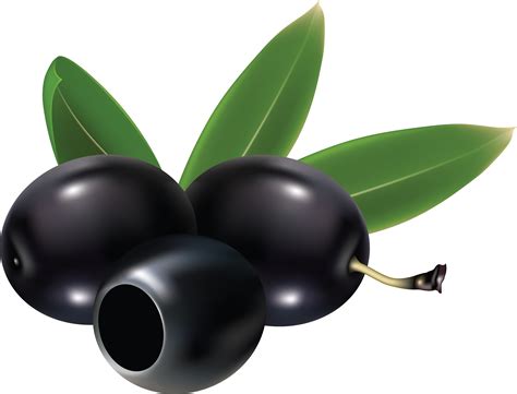 Black olives PNG