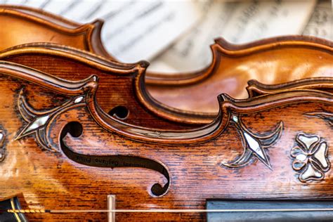 V is for Viola – Grace and Lemonade