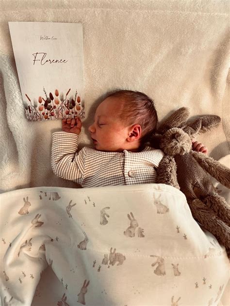 Argenta Schilde - Braeckmans Heurterre Bv