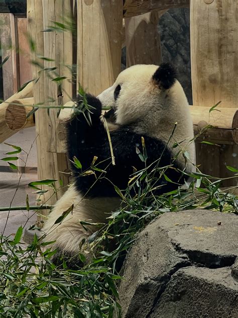 daniella.claire - daniella.claire added a new photo — in...