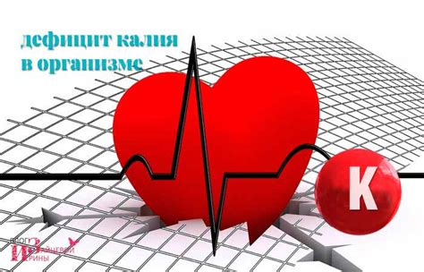 Продукты, богатые калием. Таблица продуктов, содержащих калий в большом ...