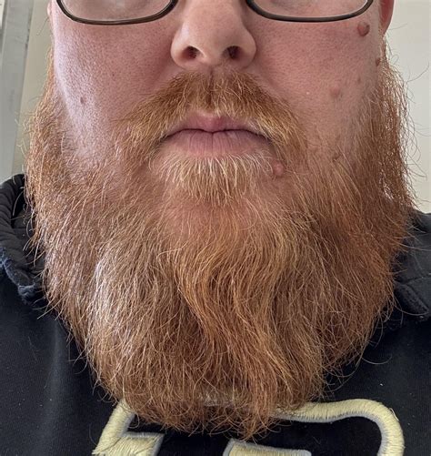 Tips, tricks, advice on what I should do? : r/beard