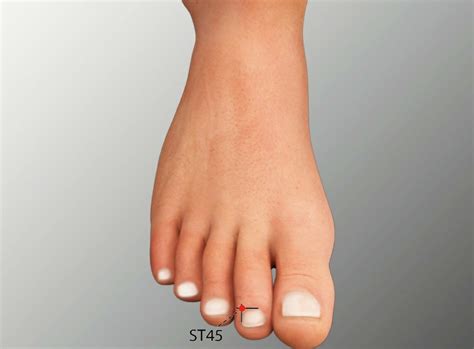 st  neiting stomach meridian acupuncture point acumeridianpoints