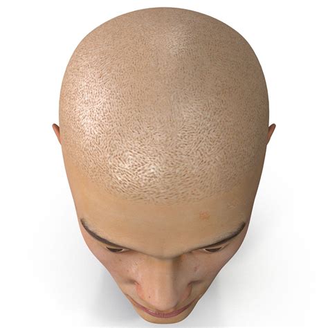 Cabeza masculina 11 Modelo 3D $99 - .max .3ds .obj .c4d .ma - Free3D