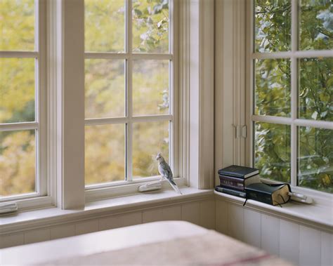 Alec Soth: Photography is a Language - Exibart Street