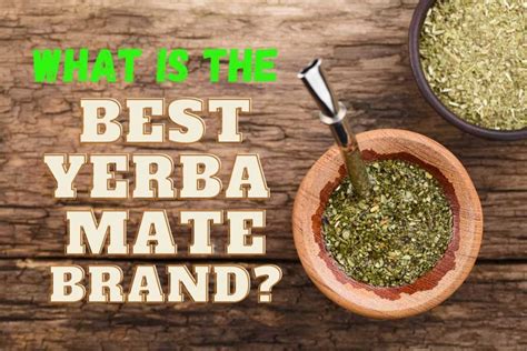 Yerba Mate Brands: The 18 Best to Drink!