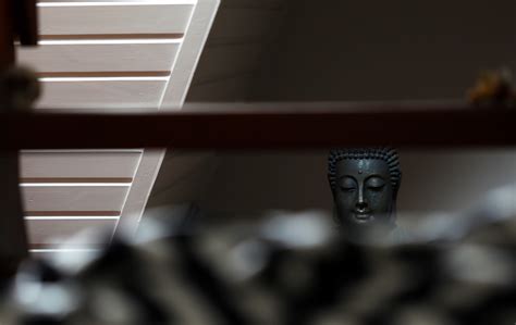 random pics  behance