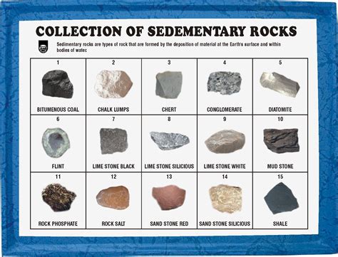 Collection Of 15 Sedimentary Rocks, एजुकेशनल ऐड, शैक्षणिक ऐड in Ambala ...