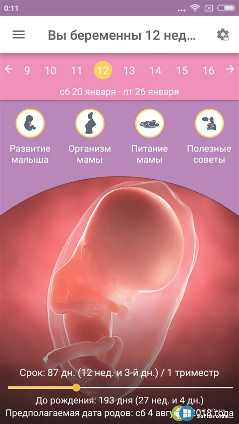 Календарь Беременности v2.4.5 - скачать Календарь Беременности на Андроид