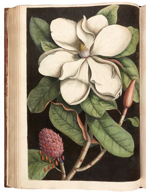 Mark Catesby | The natural history of Carolina, Florida and the Bahama