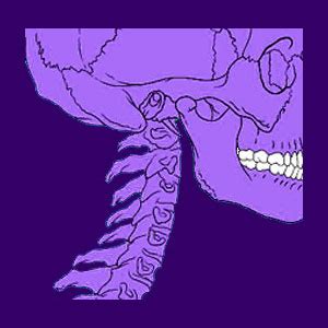 Osteomalacia - Back Pain