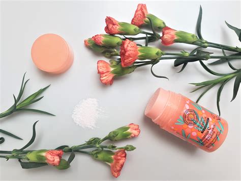 C-BERRICA VITAMIN C BRIGHTENING SKINCARE REVIEW – Fresh Beauty Fix