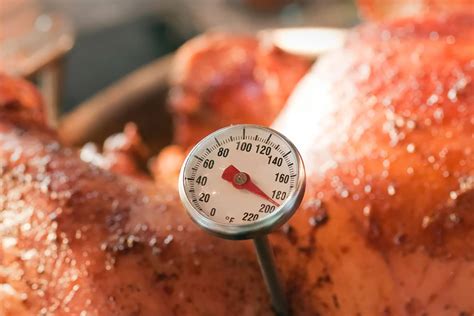 What Temperature to Cook a Turkey | The Kitchn