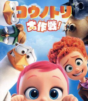 dvdblu ray disc dvd