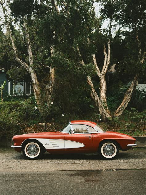 Naked+Woman+Full+Frontal+View Photos, Download The BEST Free Naked