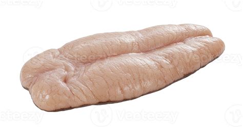 fish roe sac fresh organic food ingredient  gourmet culinary