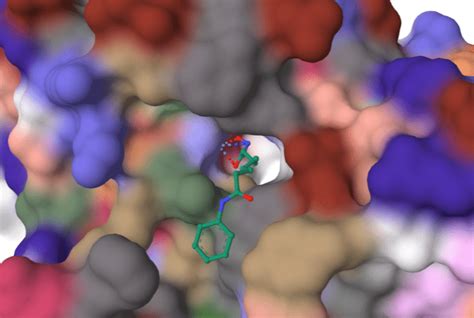 histone deacetylase hdac inhibitors overview