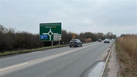 Bunnycritter ero looked as depicted online, a bit above the