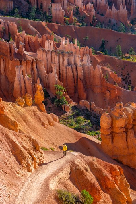 6+ JAW-DROPPING Hikes at BRYCE CANYON NATIONAL PARK