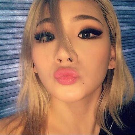 conoce gente chaelincl amino