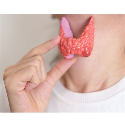 Tireoidite de Hashimoto: Entendendo a Principal Causa do