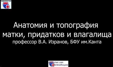 Кровоснабжение придатков матки. Сосуды придатков матки.