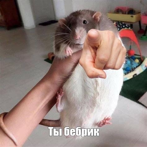Мем: "Ты бебрик" - Все шаблоны - Meme-arsenal.com