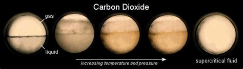 Is CO2 polar or nonpolar? - HIGHTECH Extracts LLC