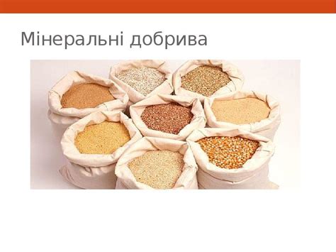 Мінеральні добрива