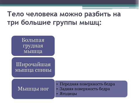 Анатомия человека - презентация онлайн
