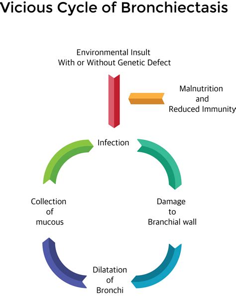 Causes, Symptoms, Diagnosis and treatment of bronchiectasis | Holistic