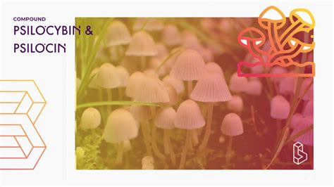 psilocybin  mental health